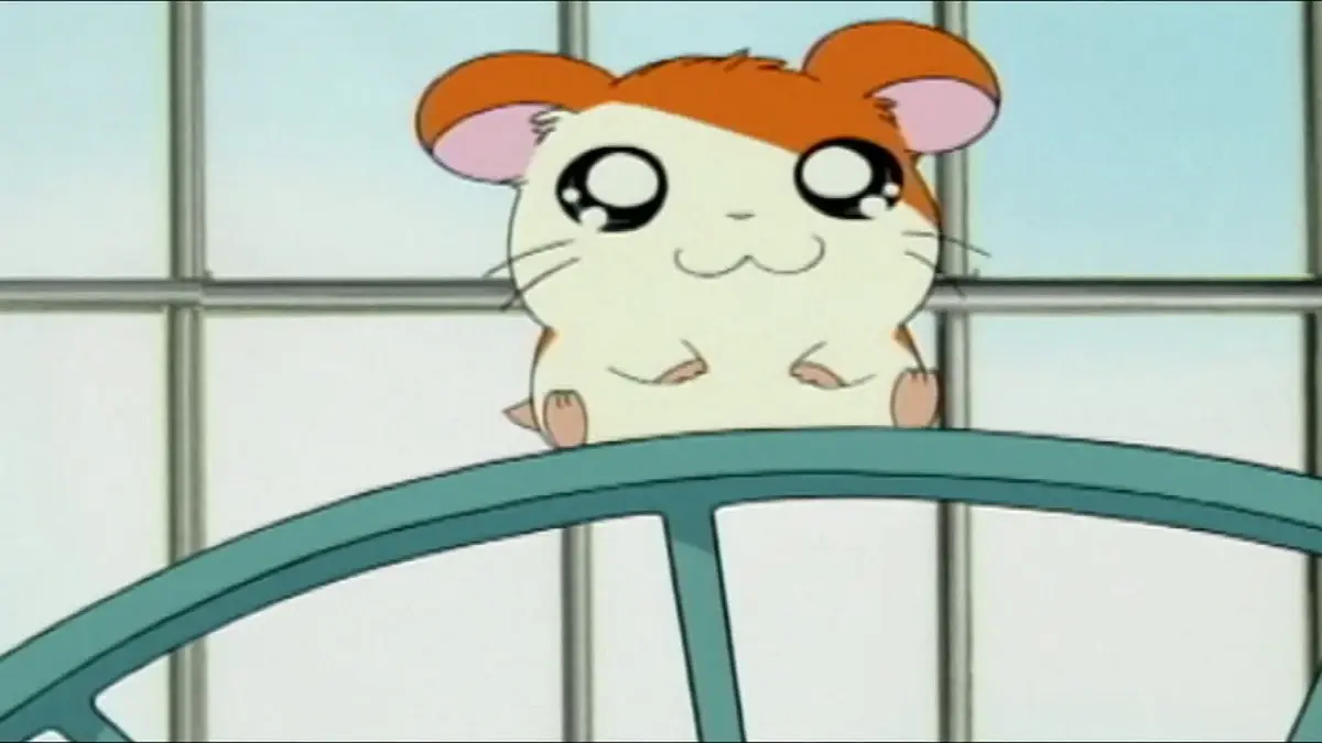 Hamtaro from Hamtaro